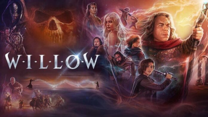 willow-1024x576